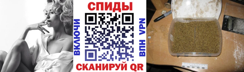 OMG вход  Павловск  БУТИРАТ Butirat 