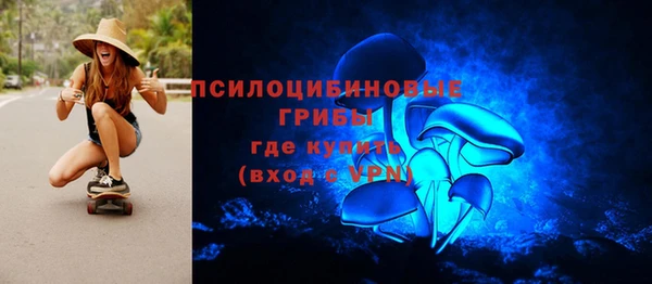 spice Бронницы
