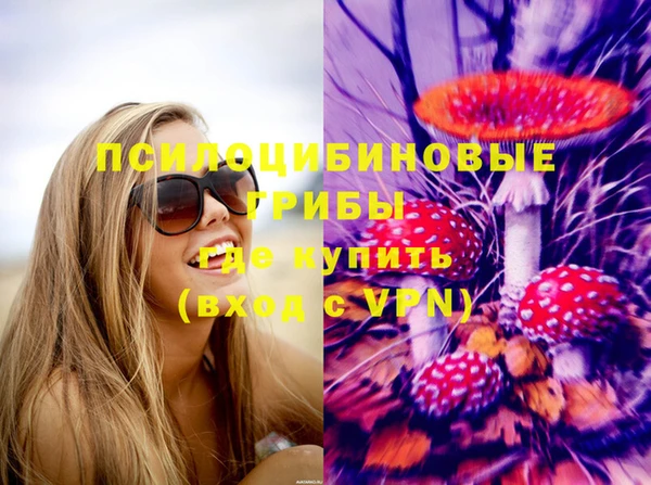 молекула духа Бугульма