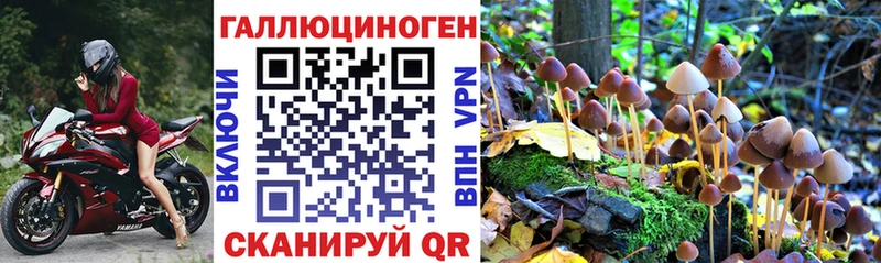 Галлюциногенные грибы Psilocybe  хочу наркоту  mega онион  Павловск 